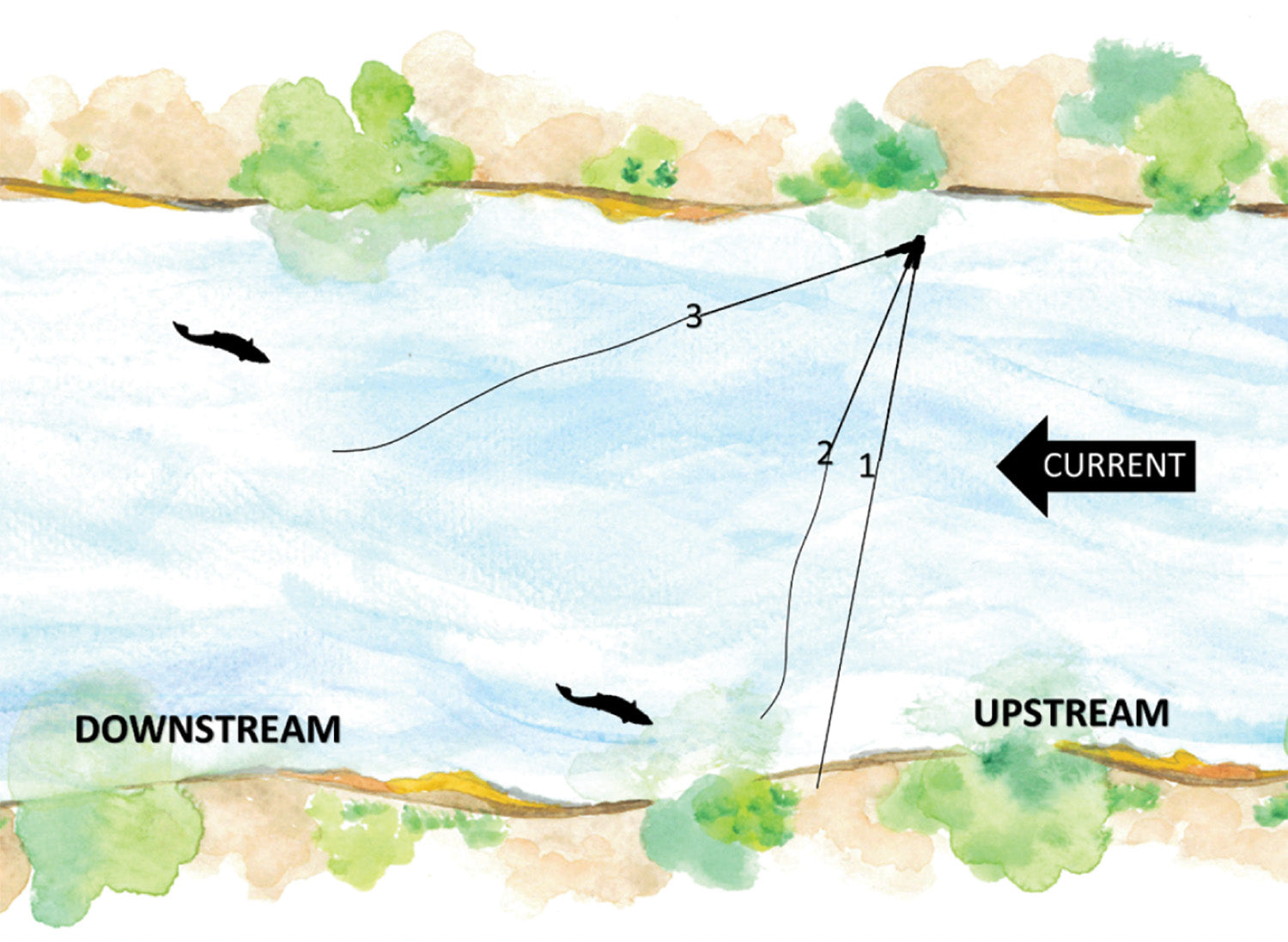 Fly Fishing Fundamentals: A Visual and Practical Guide for Beginners