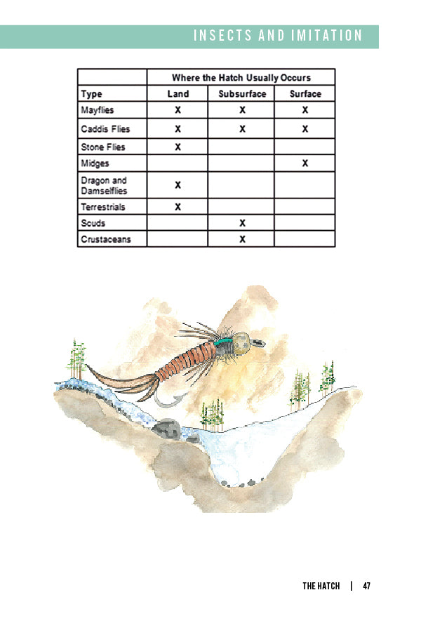 Fly Fishing Fundamentals: A Visual and Practical Guide for Beginners