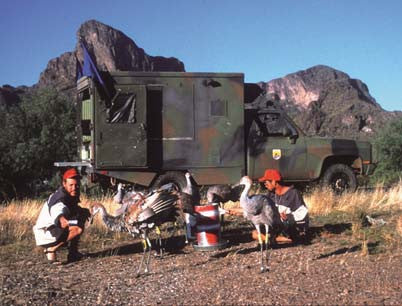 Wings Across The Desert: the incredible motorized crane migration